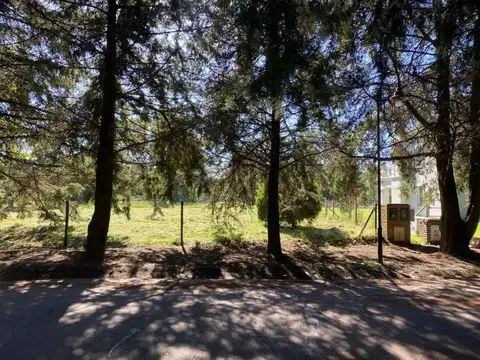 Terreno en Venta 60  mts Fondo