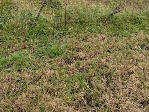 Terreno en Venta de 900,0 m2