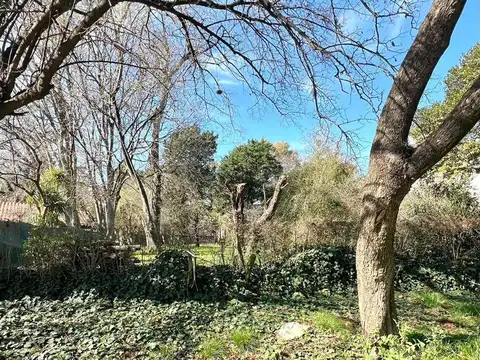 Terreno en Venta 52  mts Fondo