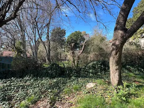 Terreno en Venta 18  mts Frente