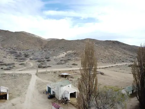1800 Ha. en venta