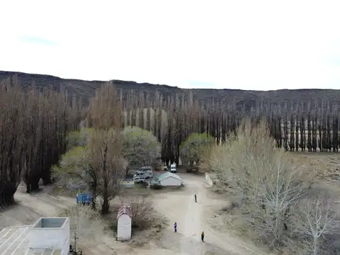 campo en venta en comallo