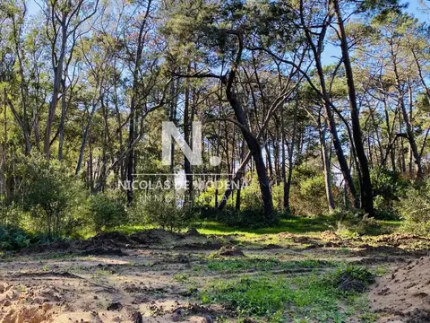 Terreno en Venta de 1000,0 m2