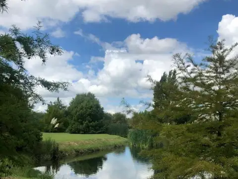 Avenida Fernandez Beschtdet