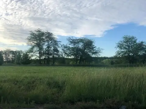 Terreno en Venta de 2000,0 m2