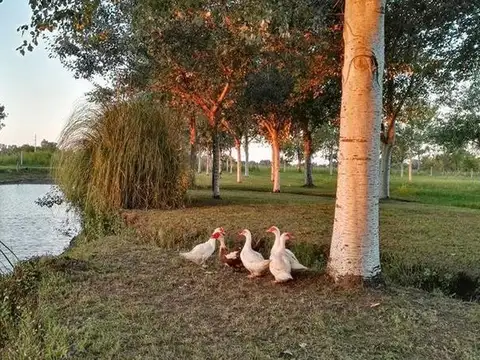 Terreno en Venta en Piñero, USD 37.000