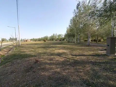 Venta terreno de 462 m2 en Pinares del Sur. Permutas.