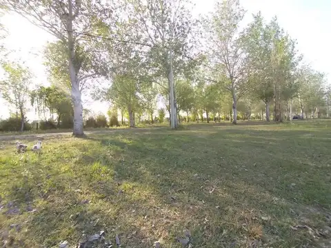 Terreno en Venta de 462,0 m2