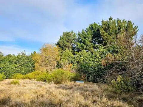 Terreno en Venta de 188,0 m2