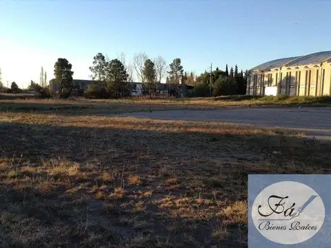 Parque industrial San 100