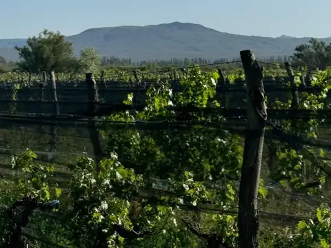 Atuel norte san Rafael Mendoza calle 11 y calle larga vieja es la dirección