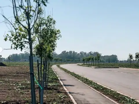 Terreno en Venta 20  mts Frente