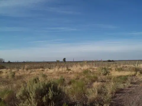 VENTA FINCA - CHACRA CON POZO MENDOZA SANTA ROSA