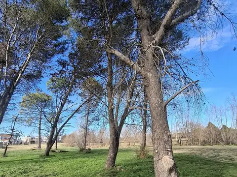 Terreno en Venta en Pilara, USD 350.000