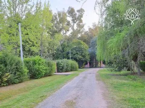 Terreno en Venta 37  mts Frente