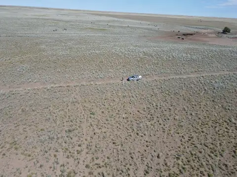 Campo en venta de 28.000  Has en Gral Alvear, Mendoza. Armado de Cría/Recría