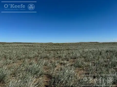 Venta 27.900  Has  ,GRAL ALVEAR MENDOZA  Armadas para Cria y recria  para 2000 animales