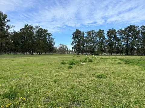 REVENTA - LOTE Nº17 - ORIENTACIÓN OESTE