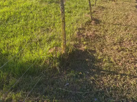 Terreno en Venta de 850,0 m2