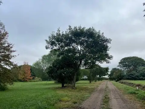 Imperdible terreno en la localidad de Progreso