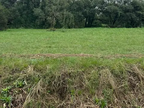 Terreno en Venta de 14361,0 m2
