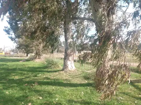 Hermosa Casaquinta de 45 x 50