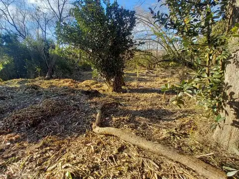 Terreno en Venta en Tigre Centro, USD 15.000