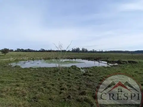 CAMPO 50 HAS + LUZ + AGUA