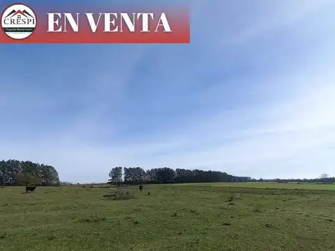 CAMPO 50 HAS + LUZ + AGUA