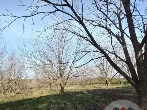 Campo en Venta de 50  ha
