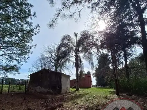 Publica