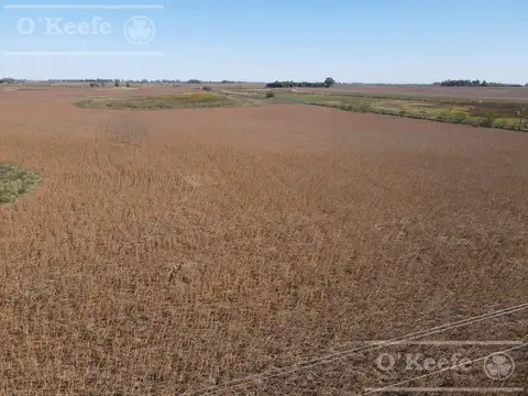 330 Has Agrícolas en Bolívar