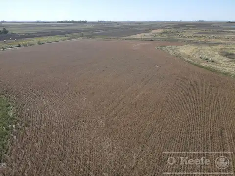 330 Has Agrícolas en Bolívar