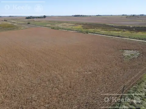 330 Has Agrícolas en Bolívar