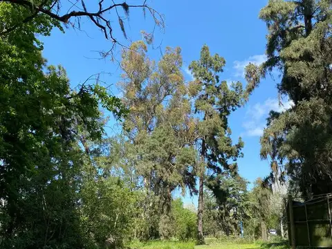 Terreno en Venta en Barrio el Cazador, USD 1.150.000