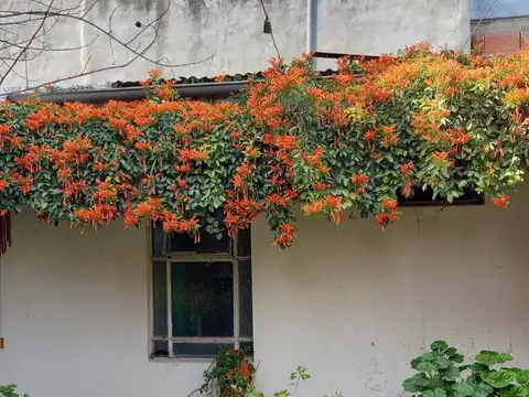Casa en Venta Lavalle al 600