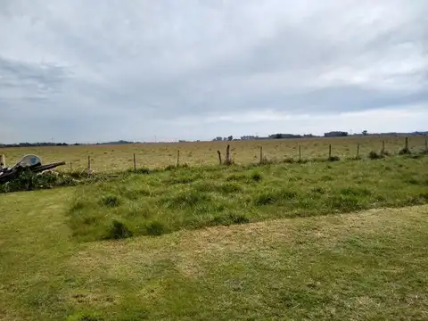 Terreno - Venta - Argentina, Domselaar - Echeverría  1102