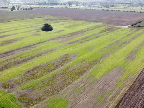 VENTA DE CAMPO INDUSTRIAL SOBRE Au09 y Ruta 26