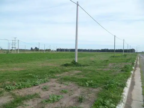 BELLA ITALIA PRODUCTIVA 00