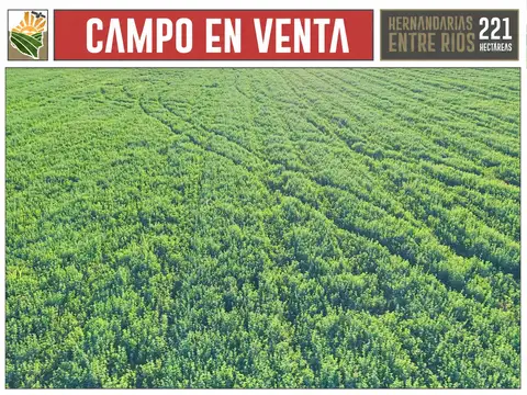 Campo en Venta de 221  ha