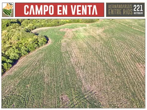Campo en Venta Agrícola