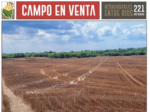 Campo en Venta Agrícola