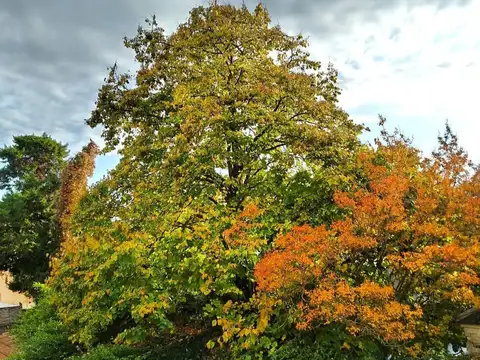 Departamento en Venta 15 años