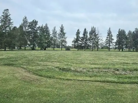 Terreno en Venta de 1284,0 m2