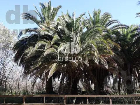 Chacra en Estancia Benquerencia