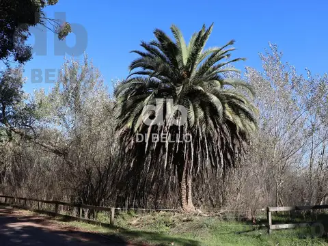 Chacra en Estancia Benquerencia