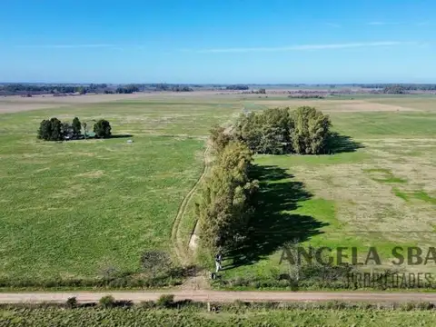 Excelente Campo ganadero/agrícola En Plomer.