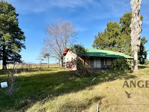 Excelente Campo ganadero/agrícola En Plomer.