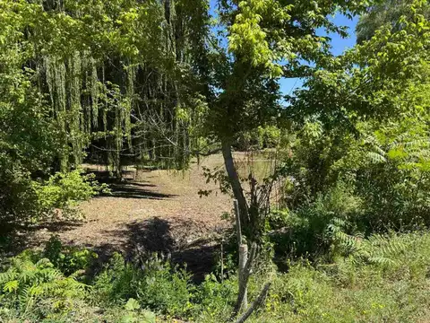 VENTA DE CAMPO/FINCA MALBEC 10HS TUPUNGATO MENDOZA