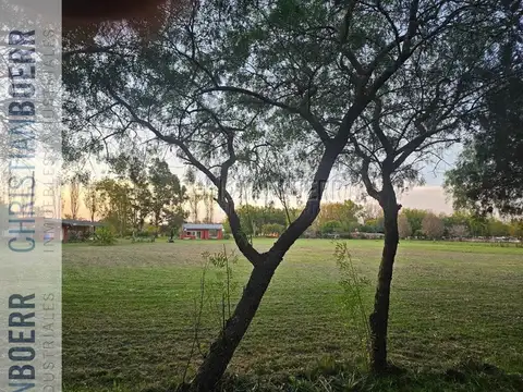 Campo en Venta Industrialización